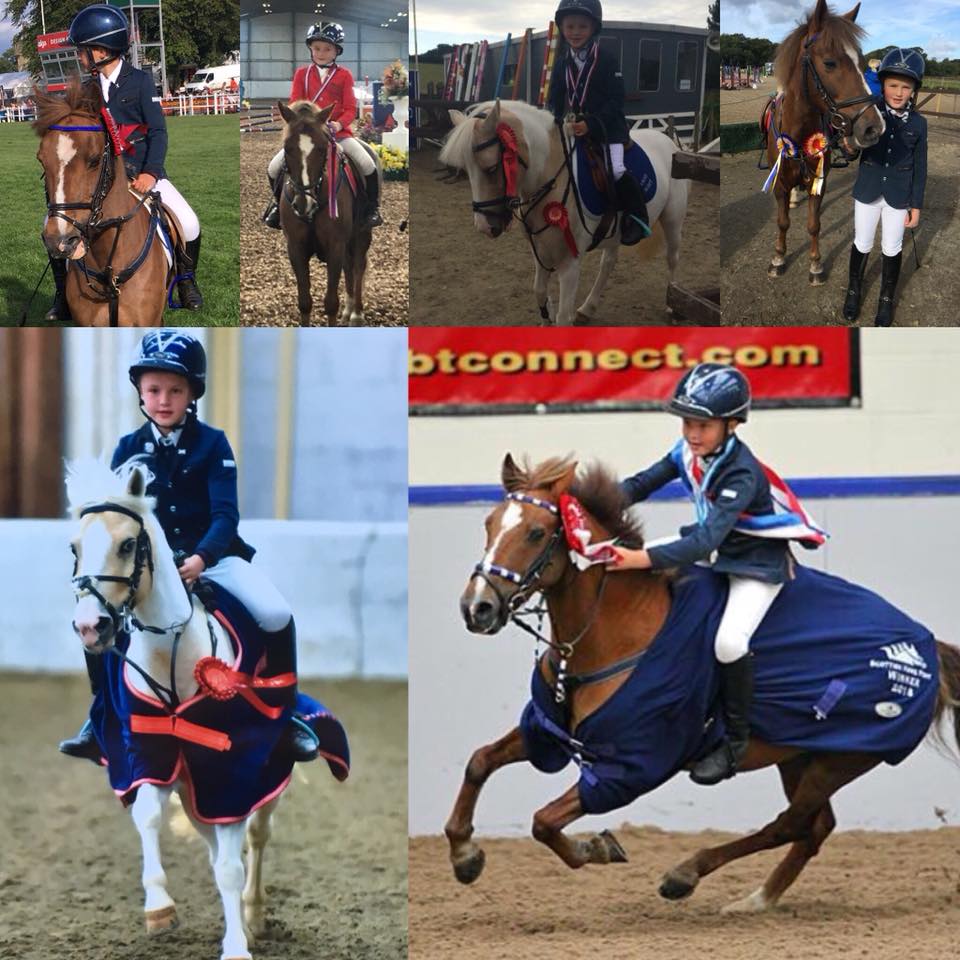 Stewart Brother`s Showjumping Ponies